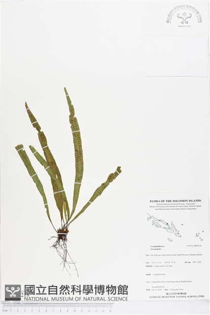 登錄號:BP02218藏品圖，第1張