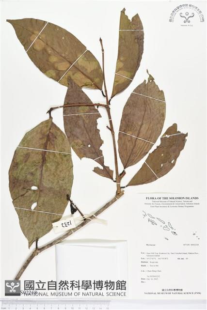 登錄號:BS02218藏品圖，第1張