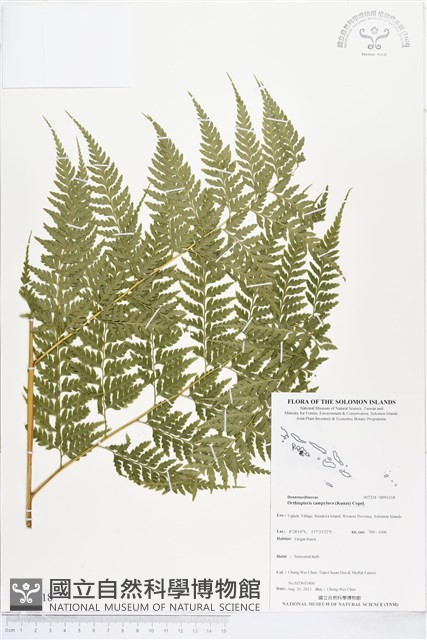 登錄號:BP01218藏品圖，第1張