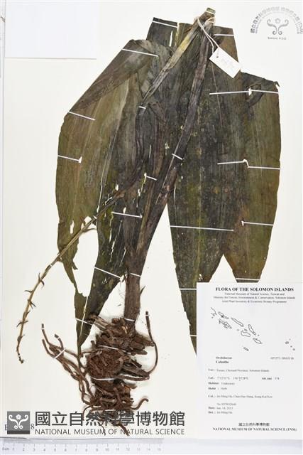 登錄號:BS03218藏品圖，第1張