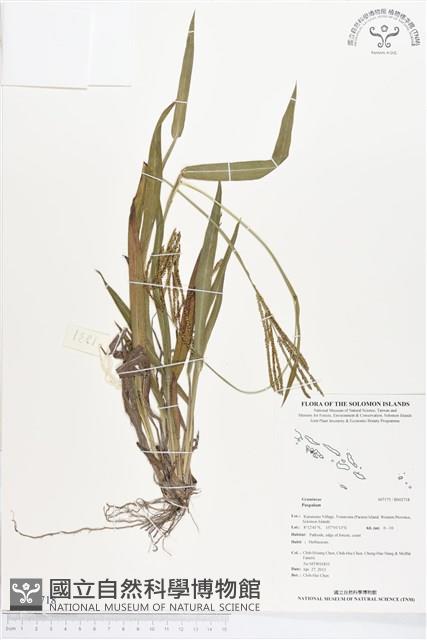 登錄號:BS02718藏品圖，第1張