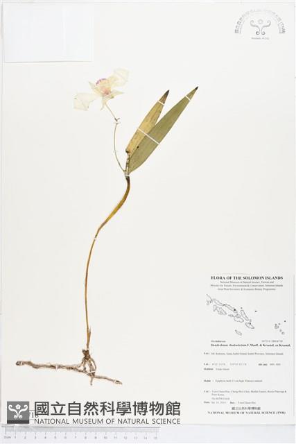 登錄號:BS04718藏品圖，第1張