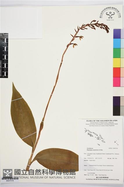 登錄號:BS07518藏品圖，第1張