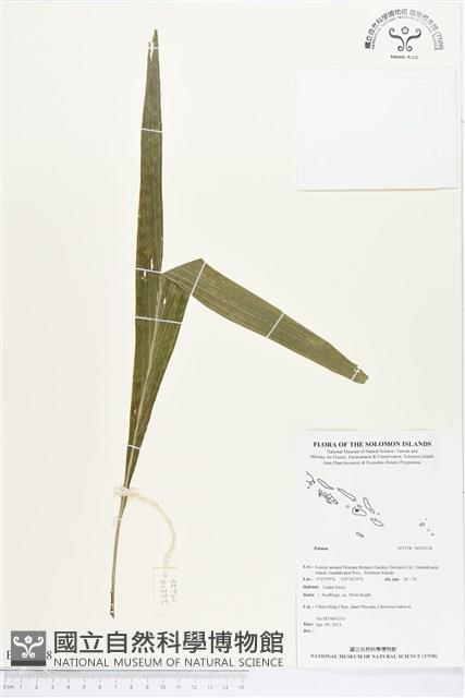登錄號:BS02318藏品圖，第1張
