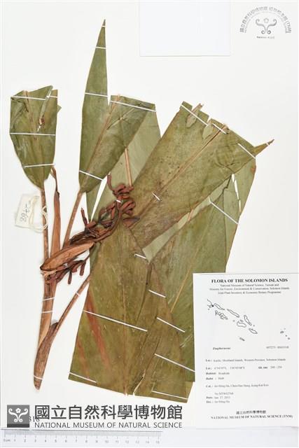 登錄號:BS03318藏品圖，第1張