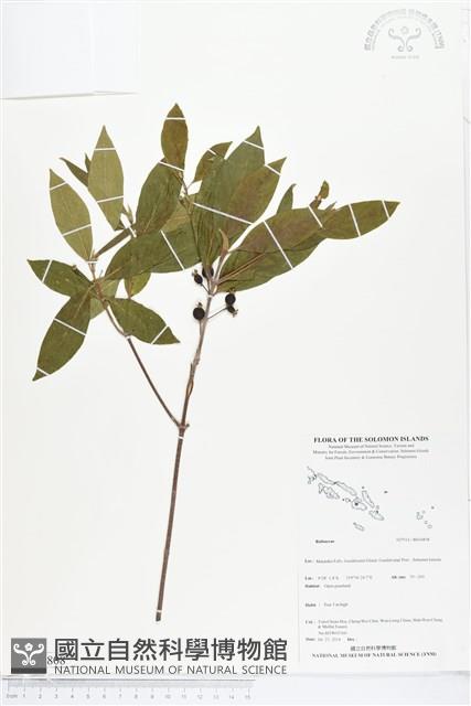 登錄號:BS04808藏品圖，第1張