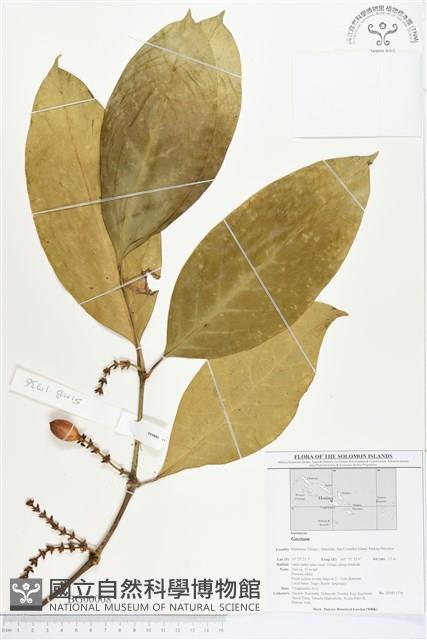 登錄號:BG00008藏品圖，第1張