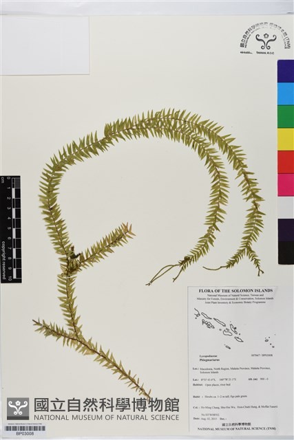登錄號:BP03008藏品圖，第1張