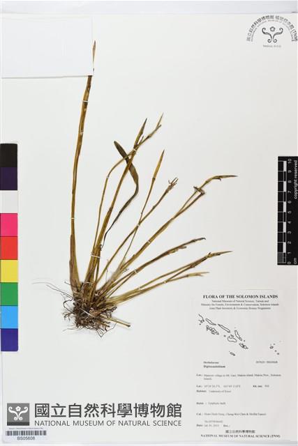 登錄號:BS05608藏品圖，第1張