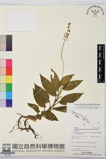 登錄號:BS07608藏品圖，第1張