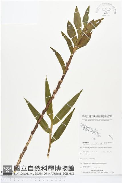 登錄號:BS04108藏品圖，第1張