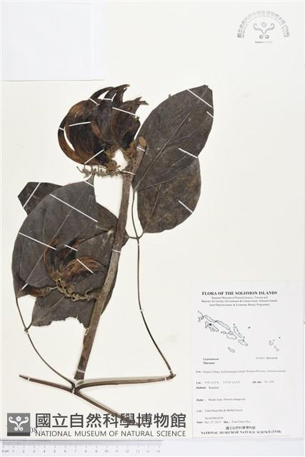 登錄號:BS04408藏品圖，第1張