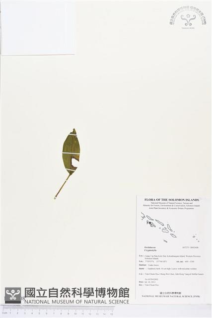 登錄號:BS03408藏品圖，第1張