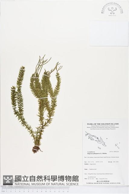 Accession Number:BP02208 Collection Image