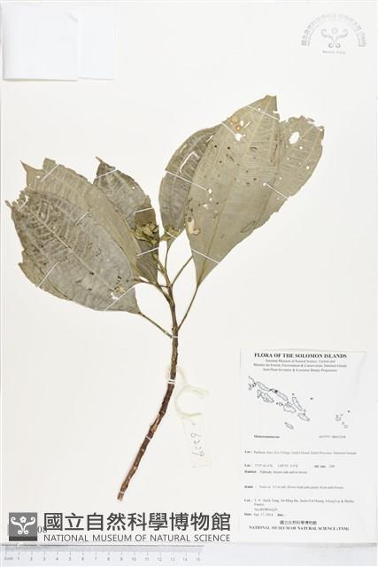 登錄號:BS05208藏品圖，第1張