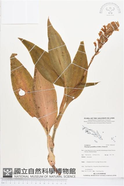 登錄號:BS04208藏品圖，第1張