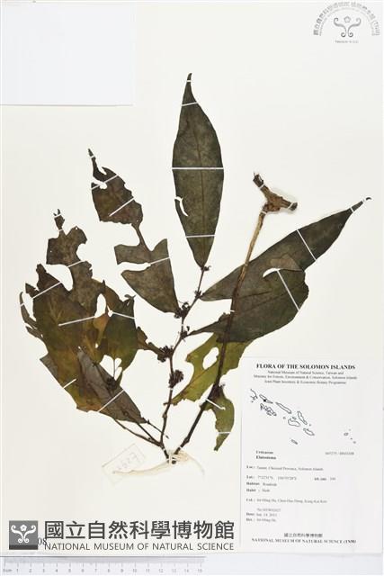 登錄號:BS03208藏品圖，第1張