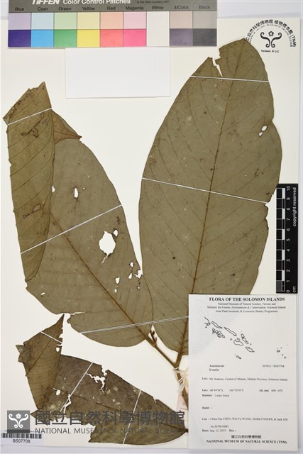 登錄號:BS07708藏品圖，第1張