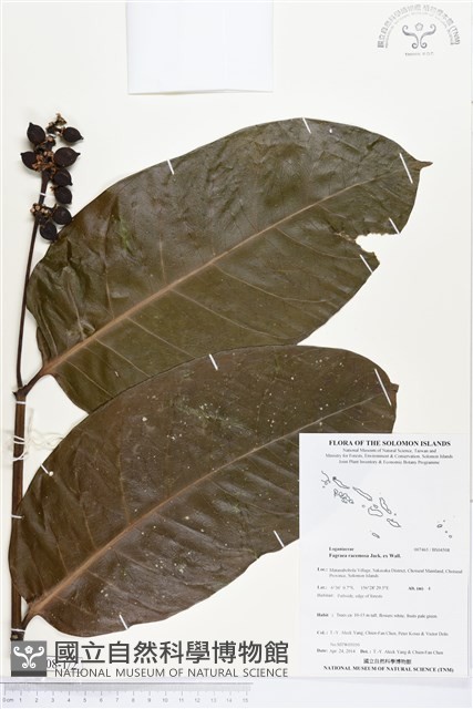 登錄號:BS04508藏品圖，第1張