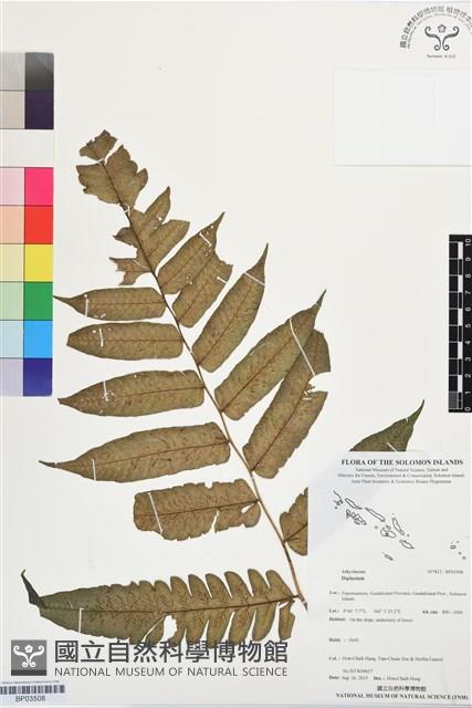 登錄號:BP03508藏品圖，第1張