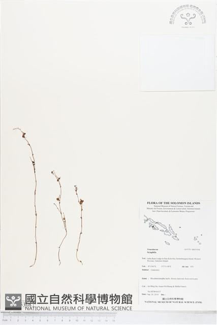 登錄號:BS05308藏品圖，第1張