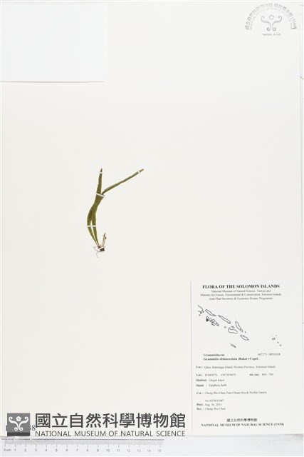 登錄號:BP01038藏品圖，第1張