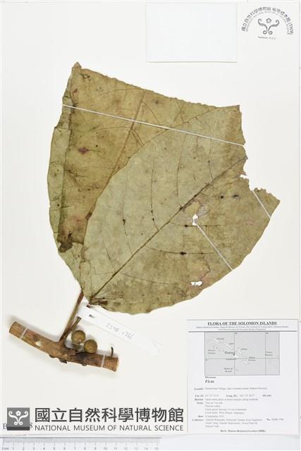 登錄號:BS01638藏品圖，第1張