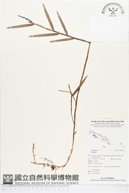 登錄號:BS02138藏品圖，第1張