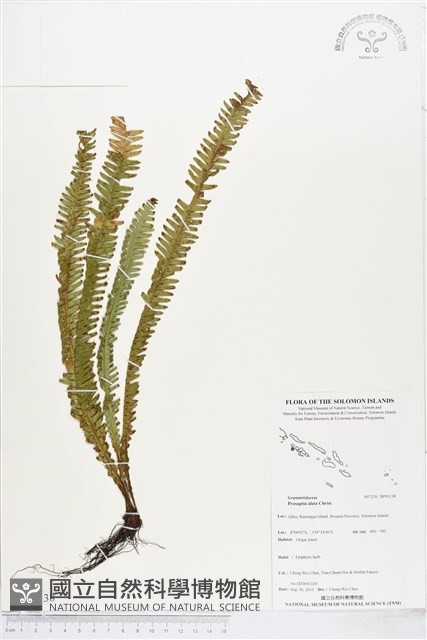 登錄號:BP01138藏品圖，第1張