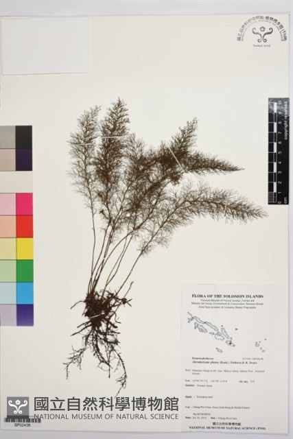 登錄號:BP02438藏品圖，第1張