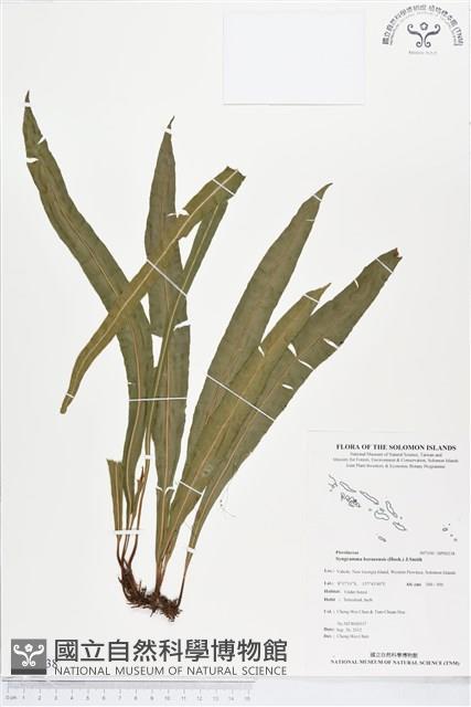 登錄號:BP00238藏品圖，第1張