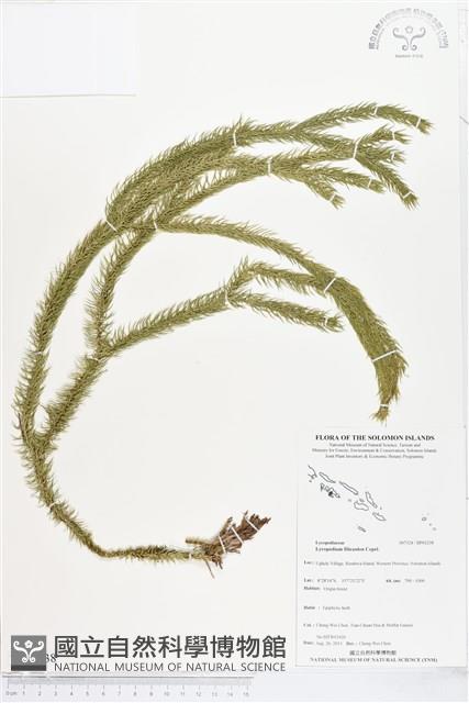 登錄號:BP01238藏品圖，第1張
