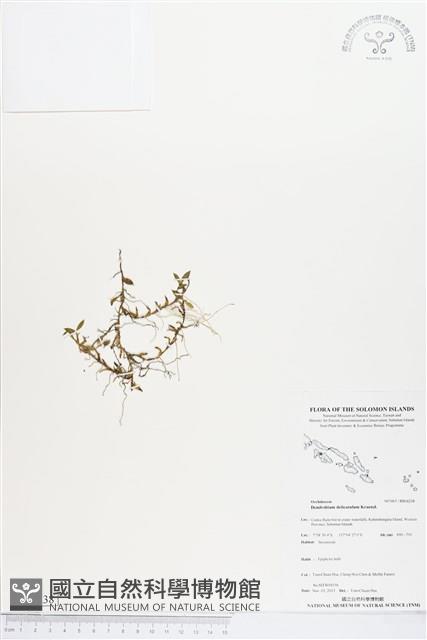 登錄號:BS04238藏品圖，第1張