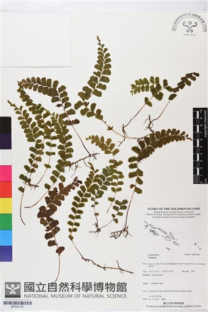 登錄號:BP02738藏品圖，第1張
