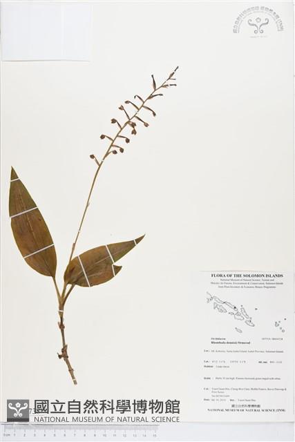 登錄號:BS04738藏品圖，第1張