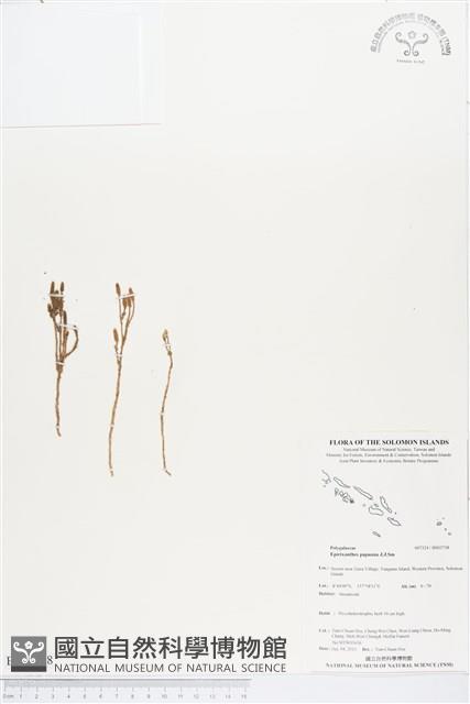 登錄號:BS03738藏品圖，第1張