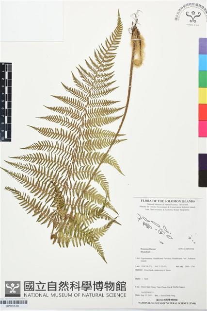 Accession Number:BP03538 Collection Image