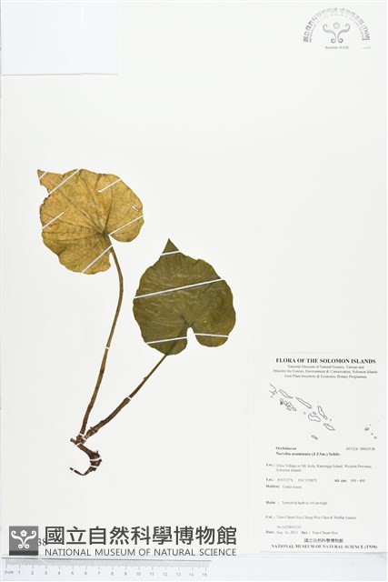 登錄號:BS03538藏品圖，第1張