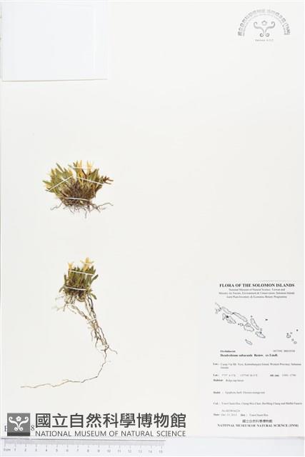 登錄號:BS03938藏品圖，第1張