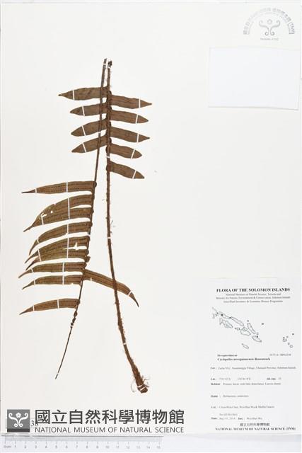 登錄號:BP02338藏品圖，第1張