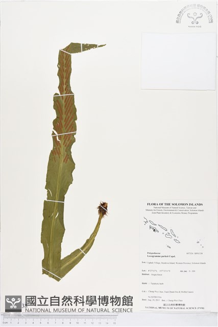 登錄號:BP01338藏品圖，第1張