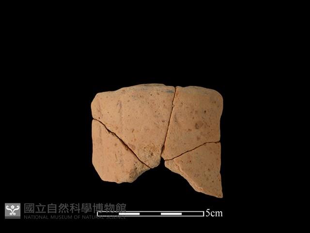 連杯形器藏品圖，第1張