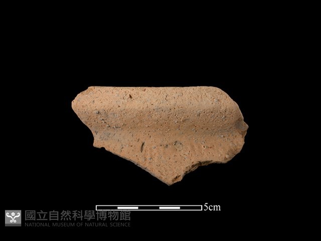 陶罐藏品圖，第1張