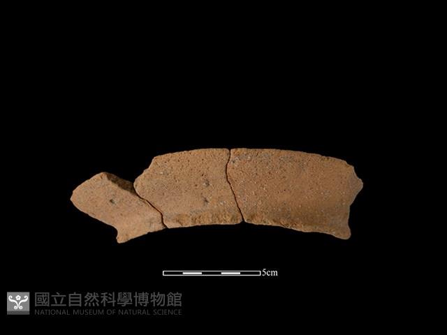 陶罐藏品圖，第1張