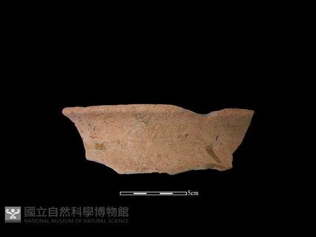 陶罐藏品圖，第1張