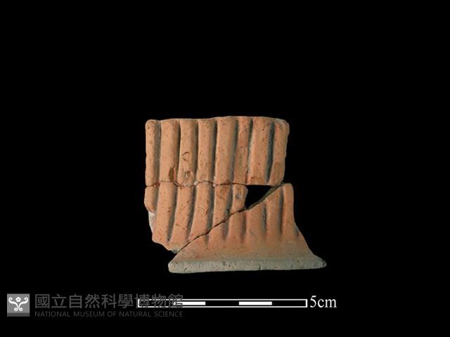 連杯形器藏品圖，第1張