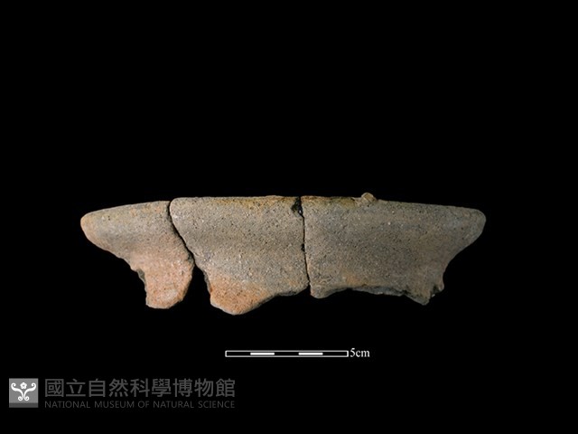 陶罐藏品圖，第1張