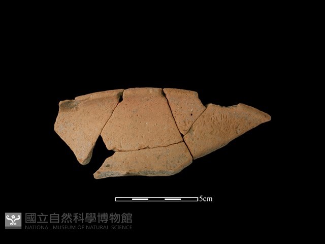 陶罐藏品圖，第1張