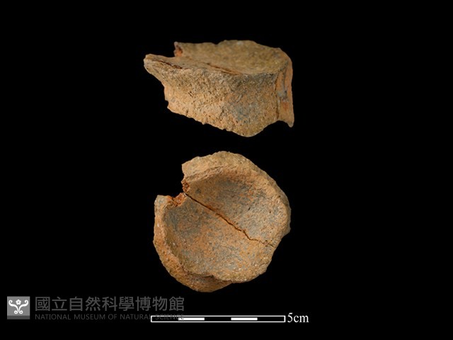 陶片藏品圖，第1張