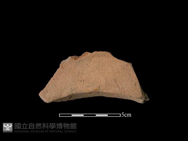 連杯形器藏品圖，第1張